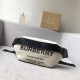 Burberry Horseferry Print Canvas Cotton Bum Bag