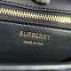Burberry Small Monogram And Embroidery Lambskin Leather Chain TB Bag