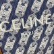 Celine Vertical Cabas In Blue Denim White Triomphe And Celine Embroidery Tan Calfskin