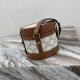 Celine Tambour Bag in Printed Triomphe Canvas And Calfskin