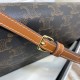 Celine Wallet On Strap in Triomphe Canvas And Smooth Lambskin