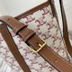Celine Small Bucket In Printed Triomphe Canvas And Calfskin