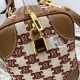 Celine Small Boston Bag in Natural Textile And Calfskin With Triomphe Embroidery