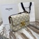 Celine Triomphe Shoulder Bag in Printed Triomphe Canvas And Calfskin