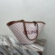 Celine Couffin In Printed Triomphe Canvas And Calfskin