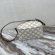 Celine Triomphe Lunch Bag in Printed Triomphe Canvas And Calfskin