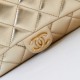 Chanel Tas Punggung In Metalik 20cm 2 Colors AS4621