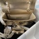 Chanel Backpack And Strar Coin Purse In Mirror Calfskin And Metallic Calfskin 18.5cm AS4649 3 Colors