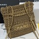 Chanel 22 Mini Handbag In Weaving Calfskin AS3980
