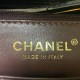 Chanel Coco Handle in Caviar Calfskin With V Pattern And Lizard Handle 23cm