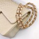 Chanel Classic Flap Bag in Sneakskin 25cm