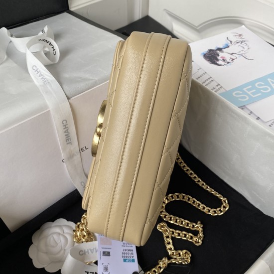 Chanel Flap Bag With Big Logo 20cm 5 Colors