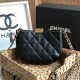 Chanel Small Hobo Bag In Lambskin 5 Colors 19cm