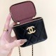 Chanel Small Vanity Chain Bag in Calfskin