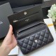 Chanel Classic Wallet on Chain in Caviar Calfskin 19cm
