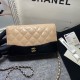 Chanel Wallet on Chain Gabrielle Bag In Contrast Color Wrinkle Calfskin 19cm