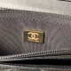 Chanel Wallet On Chain in Lambskin With Leather Chains 19cm