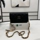 Chanel Wallet On Chain In Shiny Grained Calfskin With Enamel Logo AP3695 17cm 2 Colors