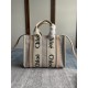 Chloe Small Woody Tote Bag in Subtly Speckled Cotton Canvas With Strap