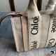 Chloe Small Woody Tote Bag in Subtly Speckled Cotton Canvas With Strap