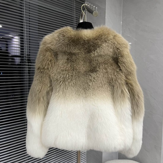 Fendi Fox Fur Coat In Gradient Color