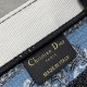Dior Book Tote In Butterfly Bandana Embroidery 26cm 36cm 41cm 3 Colors