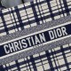 Dior Book Tote In Check'n'Dior Embroidery 2 Colors 36.5cm 41.5cm