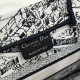 Dior Book Tote Plan de Paris Embroidery 26.5cm 36.5cm 41.5cm 2 Colors