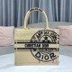 Dior Small Book Tote In Jute canvas Embroidered With Dior Union Motif 26.5cm
