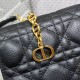 Dior Caro Belt Pouch With Chain In Supple Cannage Calfskin 5 Colors 20cm