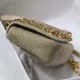 Dior Caro Bag Beige Embroidery 20cm 25cm