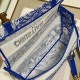 Dior Small Diorcamp Bag In Transparent Canvas With Fluorescent Toile De Jouy 3 Colors 23cm