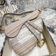 Dior Saddle Bag Multicolor Stripe Embroidery 25.5cm