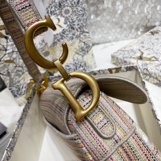 Dior Saddle Bag Multicolor Stripe Embroidery 25.5cm