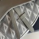 Dior Saddle Bag In CD Diamond Canvas And Smooth Calfskin 2 Colors 26cm
