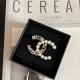 Chanel Brooch In Metal Glass Pearls Strass And Crystal