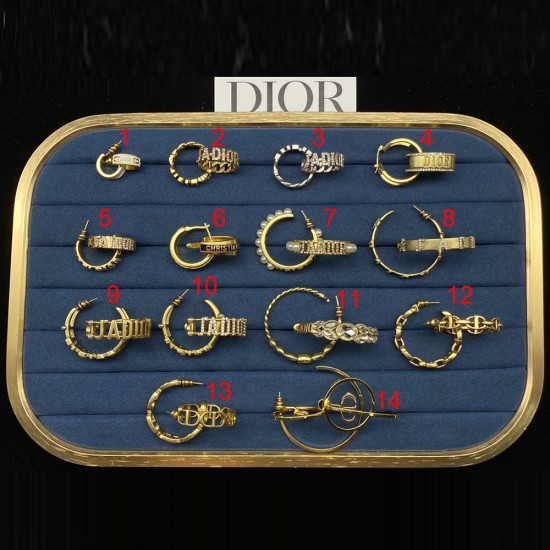 Dior Earrings Collection 10