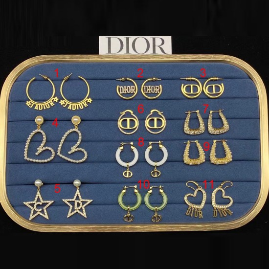 Dior Earrings Collection 15