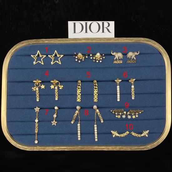 Dior Earrings Collection 17