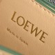Loewe Barcelona Bag in Silk Calfskin 3 Colors