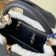 LV Capucines Handbag in Taurillon Leather With Shearling Trims 2 Colors