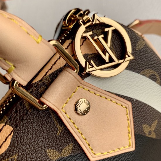 LV Nano Speedy Monogram in Brown and Camouflage