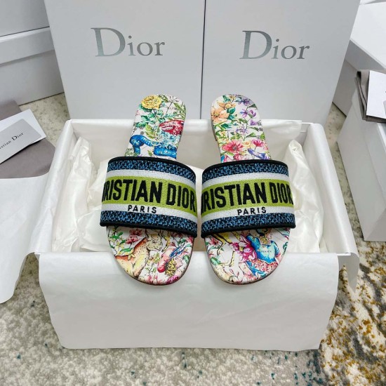 Dior Dway Slide 