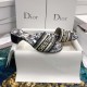 Dior Dway Heeled Slide 43 Colors