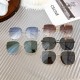 Celine Sunglasses 5 Colors CL40174U