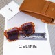 Celine Sunglasses 5 Colors CL4S490